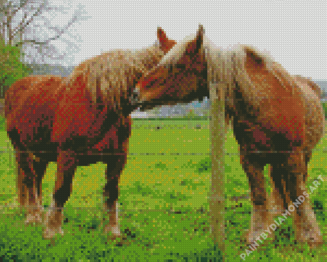 Brown Percheron Horses In Farm Diamond Painting