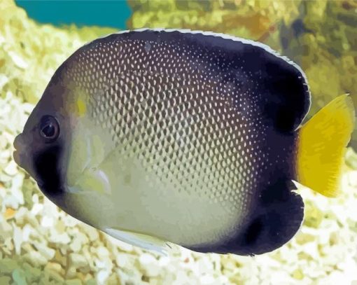 Cream Angelfish In The Bottom Of The Sea Diamond Painting