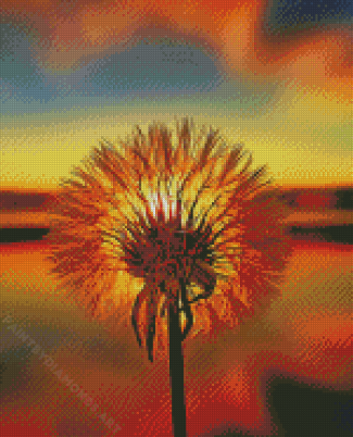 Dandelions At Sunset For Diamond painting