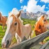 Haflinger Horses In The Farm Diamond Painting