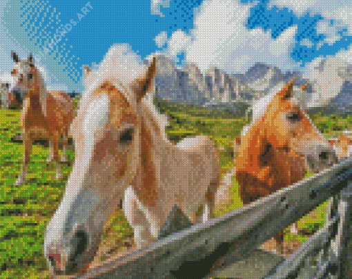 Haflinger Horses In The Farm Diamond Painting
