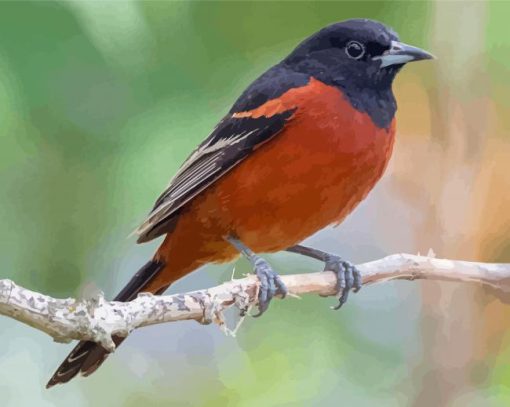 Orchard Oriole Diamond Painting