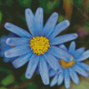 Pastel Blue Flower Diamond Painting
