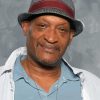 The American Actor Tony Todd For Diamond Painting