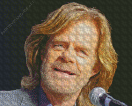 William H Macy Diamond Painting