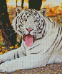 Albino Tiger Diamond Painting