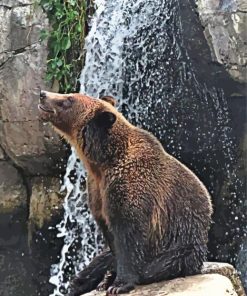 Bear In Waterfall Diamond Painting