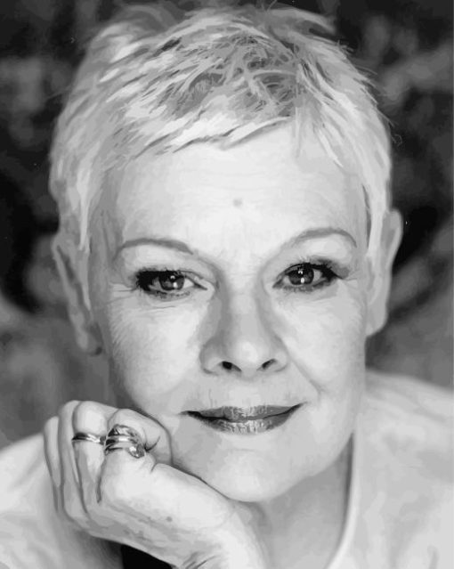 Judi Dench Actress Diamond Painting