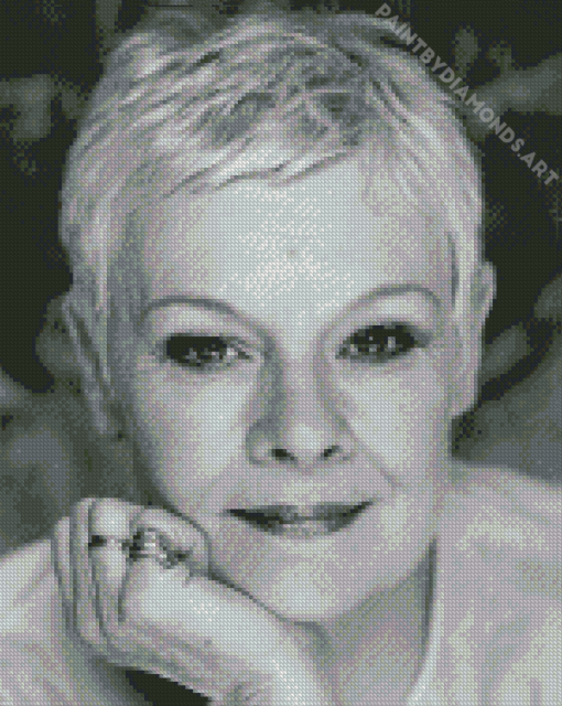 Judi Dench Actress Diamond Painting