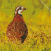 Bobwhite Quail Bird Back Diamond Painting