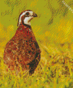 Bobwhite Quail Bird Back Diamond Painting