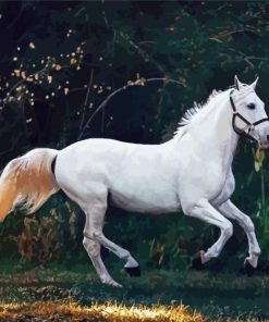 Running White Horse Diamond Painting