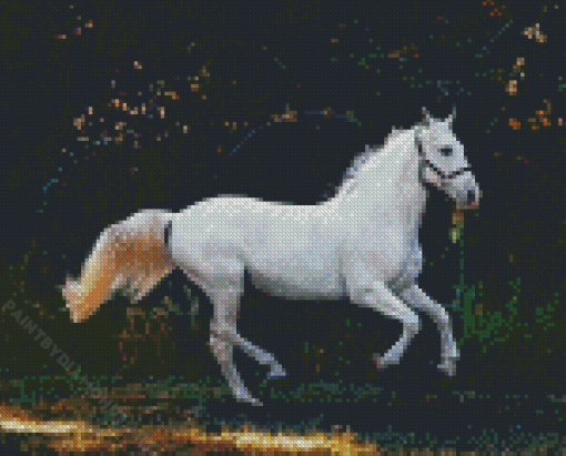 Running White Horse Diamond Painting