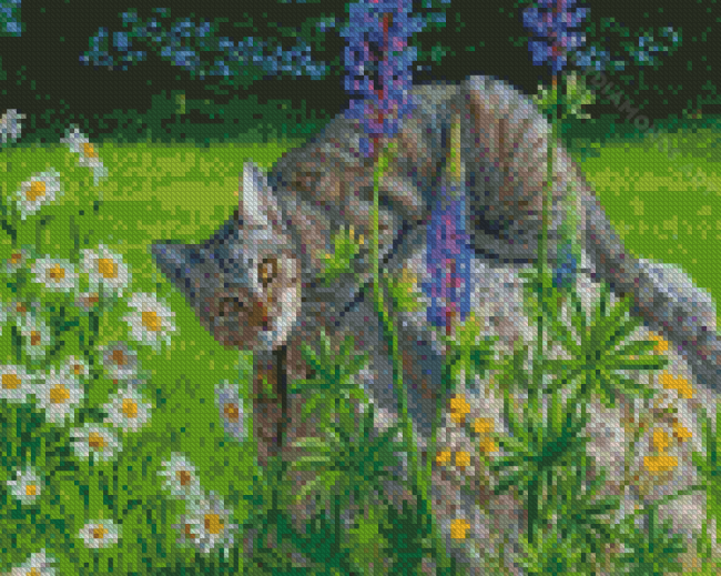 Tabby Grey Cat In Garden Diamond Painting