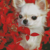 White Chihuahua With Flowers Diamond Painting