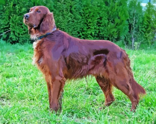 Aesthetic Irish Setter Dog Diamond Painting