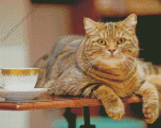 Cat By Tea Cup Diamond Painting