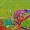 Colorful Iguana Reptile Diamond Painting