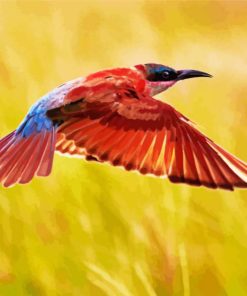 Flying Southern Carmine Bee Eater Diamond Painting