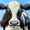 Holstein Cow Art Diamond Painting