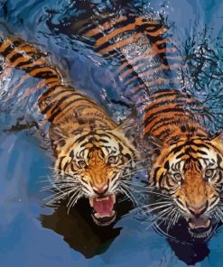 Tigers In Water Diamond Painting