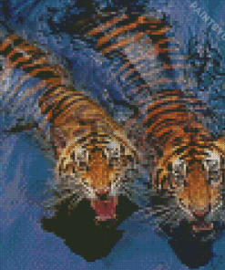 Tigers In Water Diamond Painting