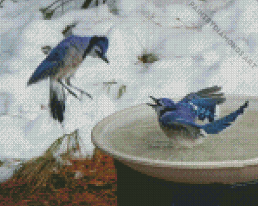 Two Blue Jay In Winter Diamond Painting