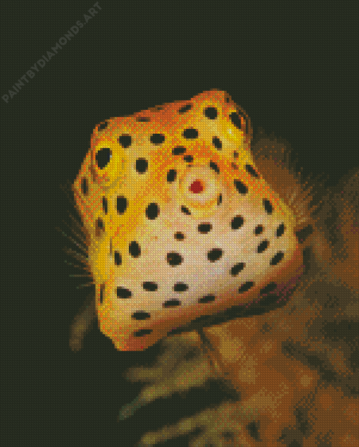 Yellow Puffer Fish Diamond Painting