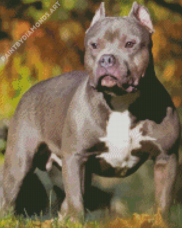 Black American Bully Dog Diamond Painting