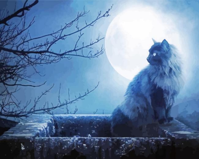 Fluffy Black Cat And Moon Diamond Painting