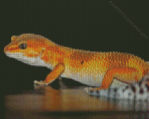 Yellow Western Desert Gecko Diamond Painting