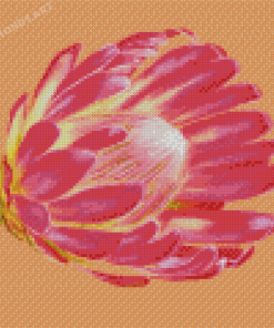 Pink Protea Plant Diamond Painting