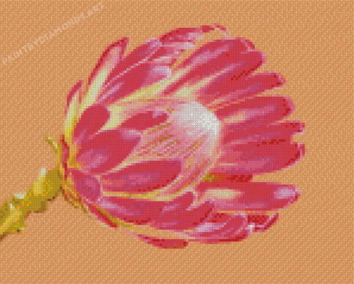 Pink Protea Plant Diamond Painting