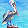 Pelican Bird Diamond Painting