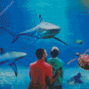 Aquarium Sea Life Diamond Painting