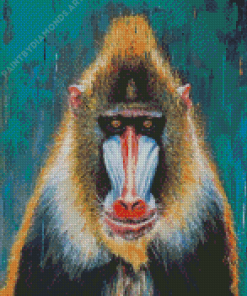 Baboon Monkey Diamond Painting