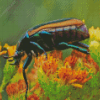 Beetle Bug Diamond Painting