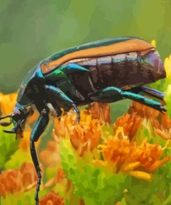 Beetle Bug Diamond Painting