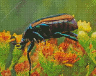 Beetle Bug Diamond Painting