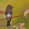 Black Phoebe Diamond Painting