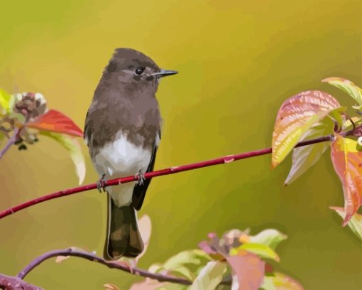 Black Phoebe Diamond Painting