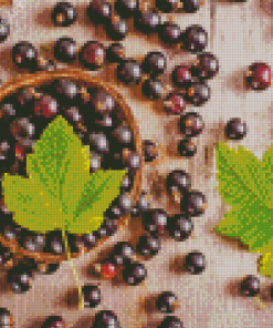 Blackcurrant With Leaves Diamond Painting