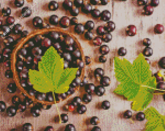 Blackcurrant With Leaves Diamond Painting