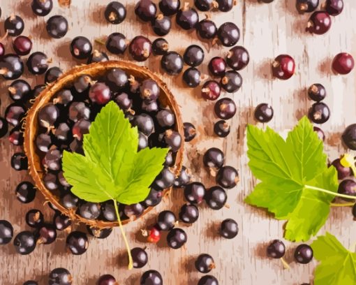 Blackcurrant With Leaves Diamond Painting