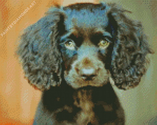 Boykin Spaniel Puppy Diamond Painting