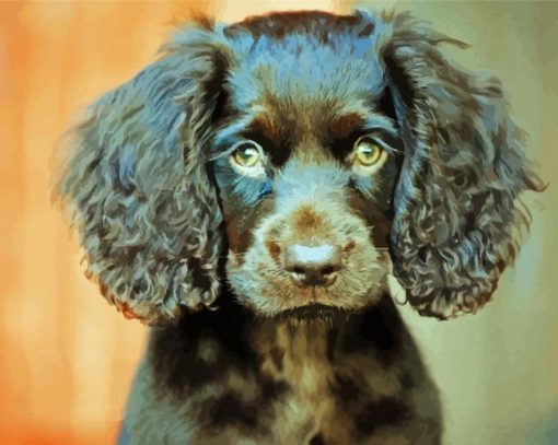 Boykin Spaniel Puppy Diamond Painting