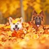 Dogs In Leaves Diamond Painting