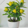 Lemon Tree Plant Diamond Painting