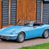 Blue Lotus Elan Diamond Painting