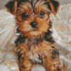 Chorkie Dog Diamond Painting